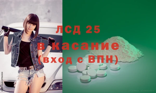 стафф Каменка