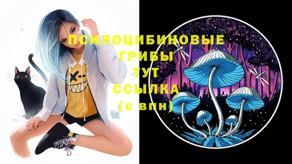 кокаин перу Касимов