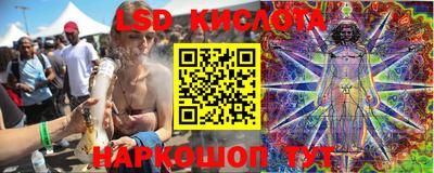 крисы Малгобек
