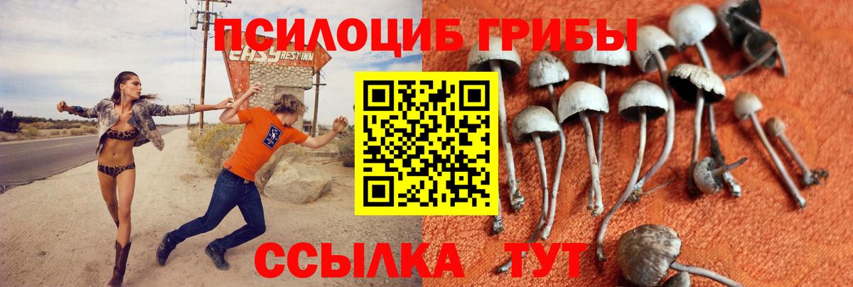 Галлюциногенные грибы Psilocybine cubensis  Вход с VPN  где можно купить   Красноперекопск 